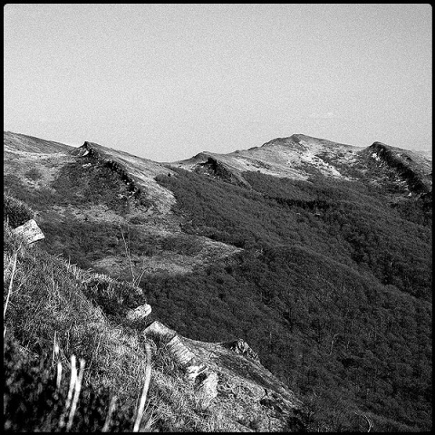 Kliknij na zdjęcie, żeby zobaczyć w pełnych wymiarach