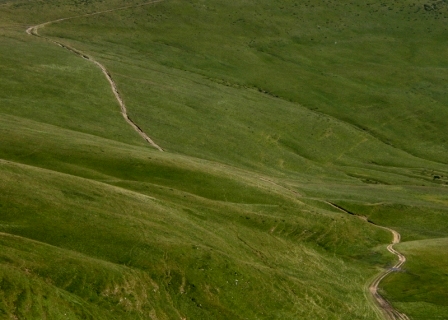 Kliknij na zdjęcie, żeby zobaczyć w pełnych wymiarach