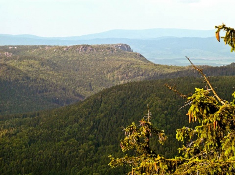 Kliknij na zdjęcie, żeby zobaczyć w pełnych wymiarach