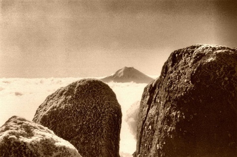 Kliknij na zdjęcie, żeby zobaczyć w pełnych wymiarach