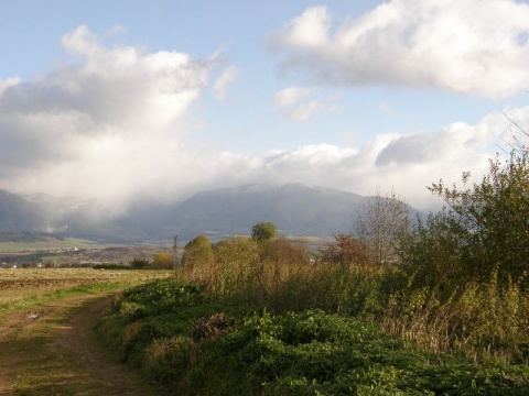 Kliknij na zdjęcie, żeby zobaczyć w pełnych wymiarach