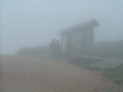 Kliknij na zdjęcie, żeby zobaczyć w pełnych wymiarach