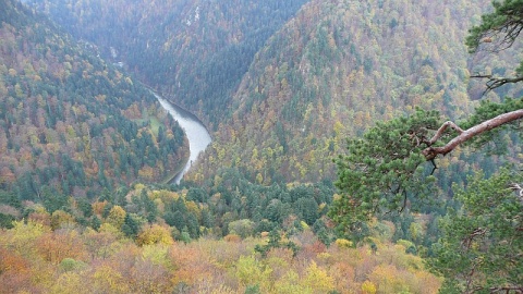 Kliknij na zdjęcie, żeby zobaczyć w pełnych wymiarach