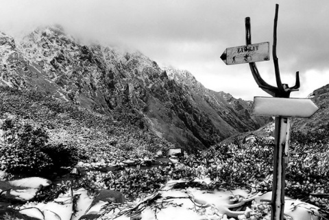 Kliknij na zdjęcie, żeby zobaczyć w pełnych wymiarach