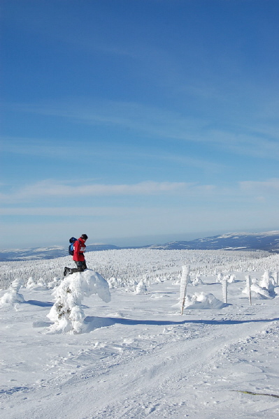 Kliknij na zdjęcie, żeby zobaczyć w pełnych wymiarach