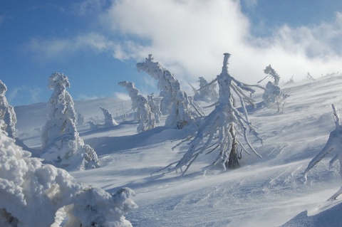 Kliknij na zdjęcie, żeby zobaczyć w pełnych wymiarach
