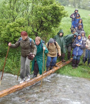 Kliknij na zdjęcie, żeby zobaczyć w pełnych wymiarach