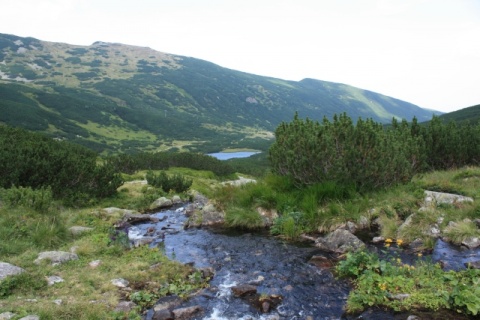 Kliknij na zdjęcie, żeby zobaczyć w pełnych wymiarach