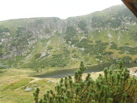 Kliknij na zdjęcie, żeby zobaczyć w pełnych wymiarach
