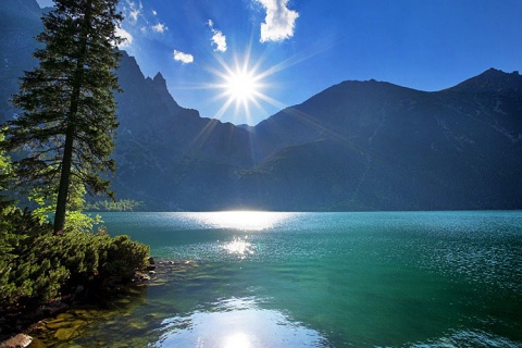 Kliknij na zdjęcie, żeby zobaczyć w pełnych wymiarach