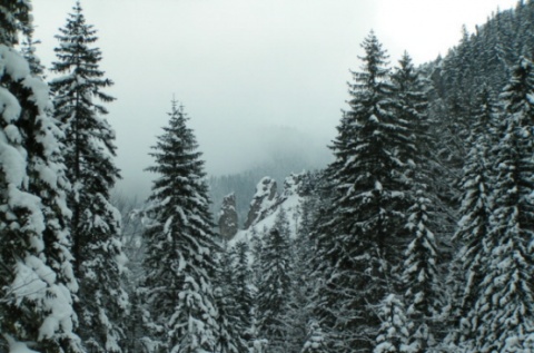 Kliknij na zdjęcie, żeby zobaczyć w pełnych wymiarach