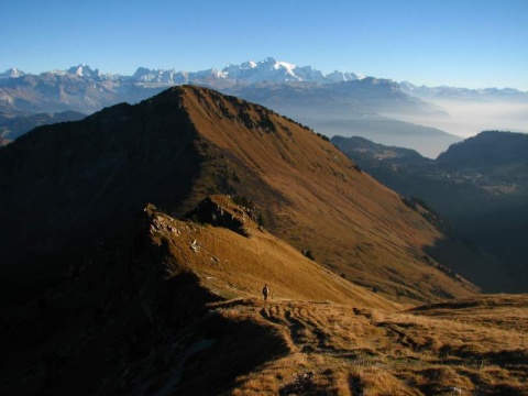 Kliknij na zdjęcie, żeby zobaczyć w pełnych wymiarach