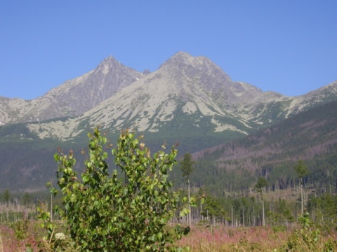 Kliknij na zdjęcie, żeby zobaczyć w pełnych wymiarach