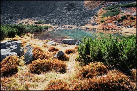 Kliknij na zdjęcie, żeby zobaczyć w pełnych wymiarach