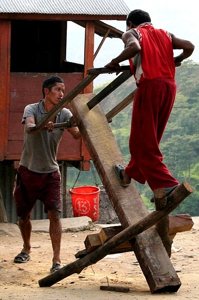 Kliknij na zdjęcie, żeby zobaczyć w pełnych wymiarach