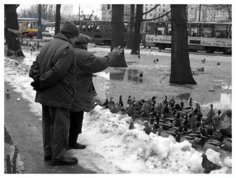 Kliknij na zdjęcie, żeby zobaczyć w pełnych wymiarach