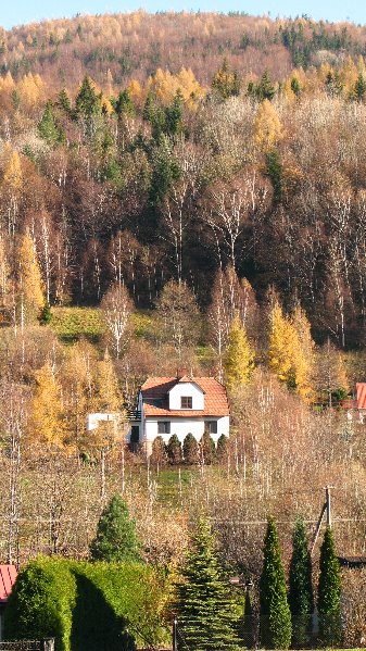 Kliknij na zdjęcie, żeby zobaczyć w pełnych wymiarach