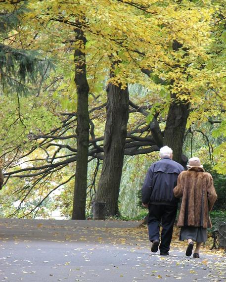 Kliknij na zdjęcie, żeby zobaczyć w pełnych wymiarach