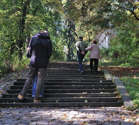 Kliknij na zdjęcie, żeby zobaczyć w pełnych wymiarach