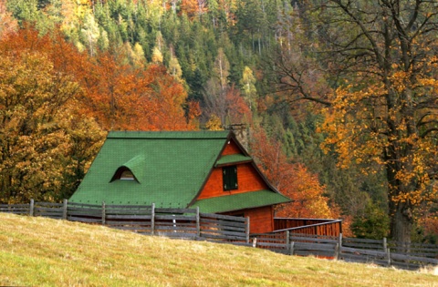 Kliknij na zdjęcie, żeby zobaczyć w pełnych wymiarach