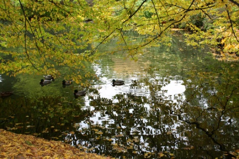 Kliknij na zdjęcie, żeby zobaczyć w pełnych wymiarach