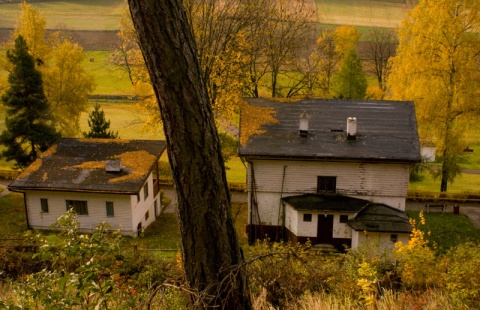 Kliknij na zdjęcie, żeby zobaczyć w pełnych wymiarach