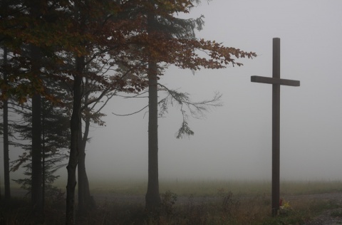 Kliknij na zdjęcie, żeby zobaczyć w pełnych wymiarach