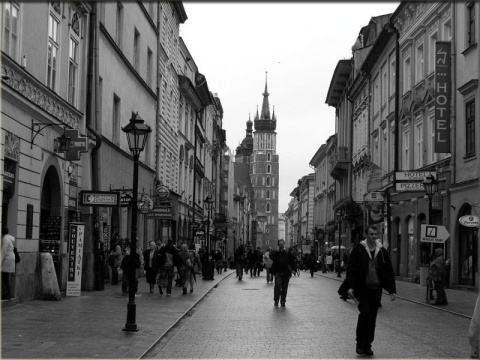 Kliknij na zdjęcie, żeby zobaczyć w pełnych wymiarach