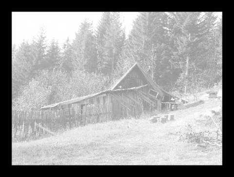 Kliknij na zdjęcie, żeby zobaczyć w pełnych wymiarach