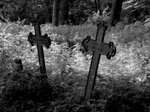 Kliknij na zdjęcie, żeby zobaczyć w pełnych wymiarach