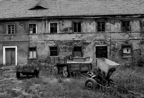 Kliknij na zdjęcie, żeby zobaczyć w pełnych wymiarach