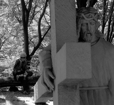 Kliknij na zdjęcie, żeby zobaczyć w pełnych wymiarach