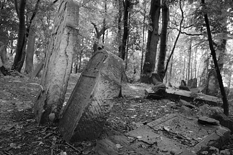 Kliknij na zdjęcie, żeby zobaczyć w pełnych wymiarach