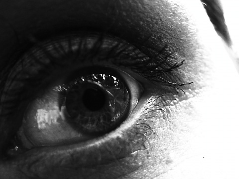 Kliknij na zdjęcie, żeby zobaczyć w pełnych wymiarach