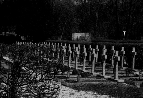 Kliknij na zdjęcie, żeby zobaczyć w pełnych wymiarach