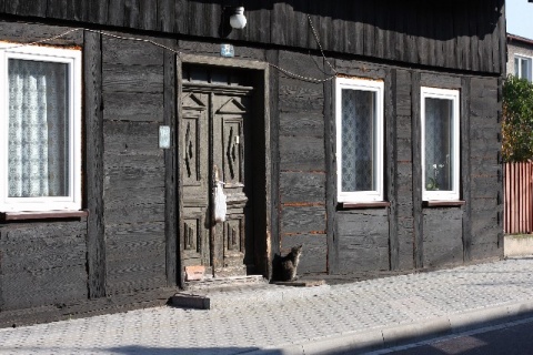 Kliknij na zdjęcie, żeby zobaczyć w pełnych wymiarach