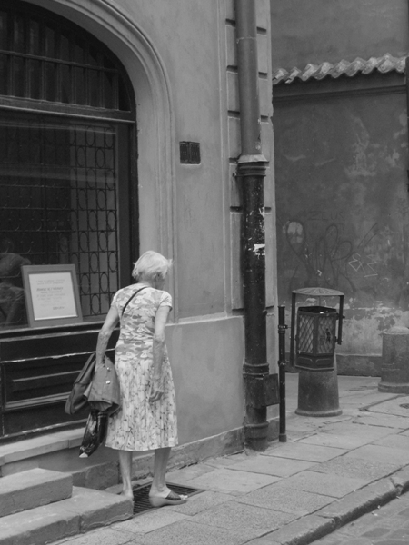 Kliknij na zdjęcie, żeby zobaczyć w pełnych wymiarach