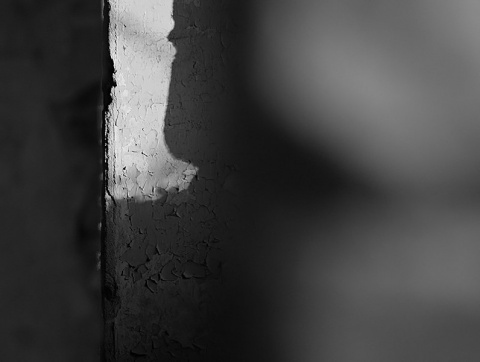 Kliknij na zdjęcie, żeby zobaczyć w pełnych wymiarach