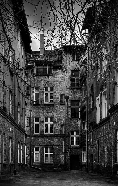 Kliknij na zdjęcie, żeby zobaczyć w pełnych wymiarach