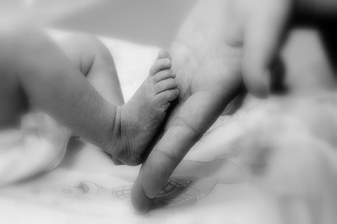 Kliknij na zdjęcie, żeby zobaczyć w pełnych wymiarach