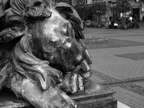 Kliknij na zdjęcie, żeby zobaczyć w pełnych wymiarach
