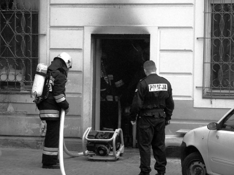 Kliknij na zdjęcie, żeby zobaczyć w pełnych wymiarach