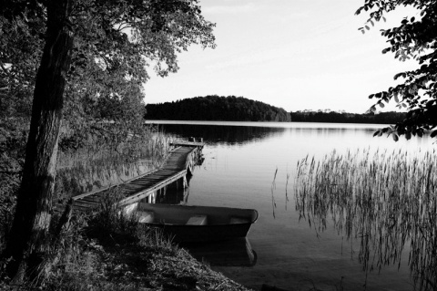Kliknij na zdjęcie, żeby zobaczyć w pełnych wymiarach