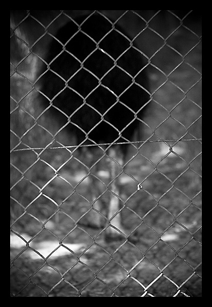 Kliknij na zdjęcie, żeby zobaczyć w pełnych wymiarach