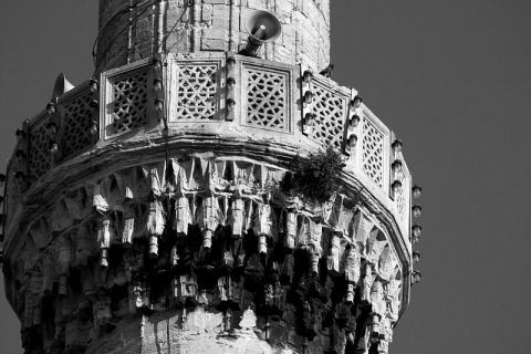 Kliknij na zdjęcie, żeby zobaczyć w pełnych wymiarach