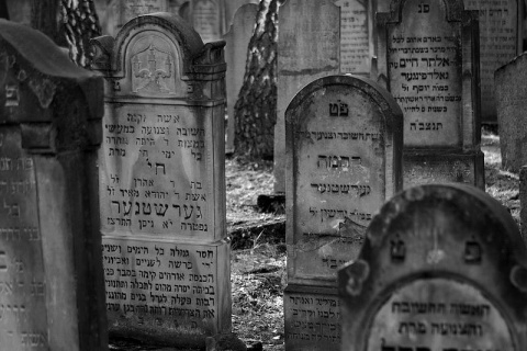 Kliknij na zdjęcie, żeby zobaczyć w pełnych wymiarach