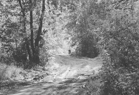 Kliknij na zdjęcie, żeby zobaczyć w pełnych wymiarach