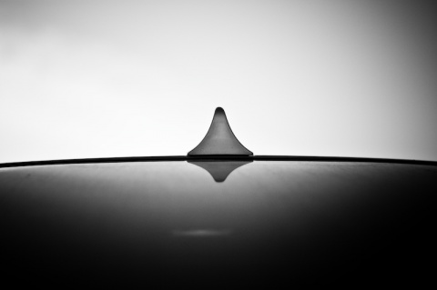 Kliknij na zdjęcie, żeby zobaczyć w pełnych wymiarach