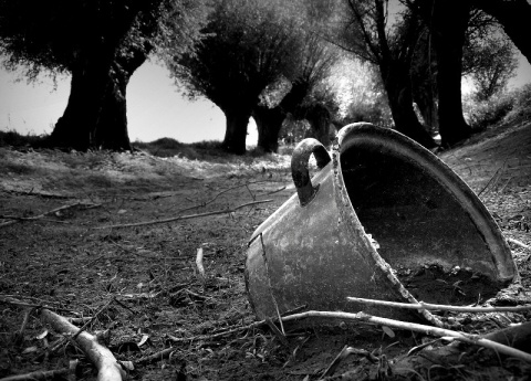 Kliknij na zdjęcie, żeby zobaczyć w pełnych wymiarach