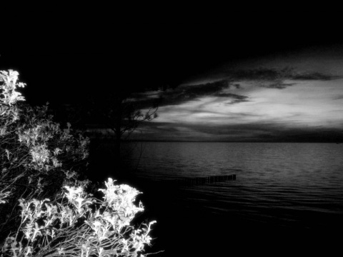 Kliknij na zdjęcie, żeby zobaczyć w pełnych wymiarach